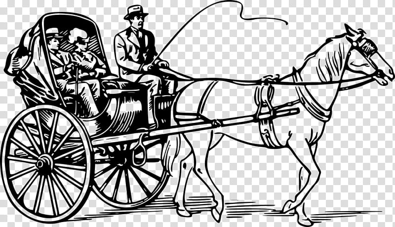 Horse, Barouche, Chariot, Horsedrawn Vehicle, Drawing, Carriage, Cabriolet, Chaise transparent background PNG clipart