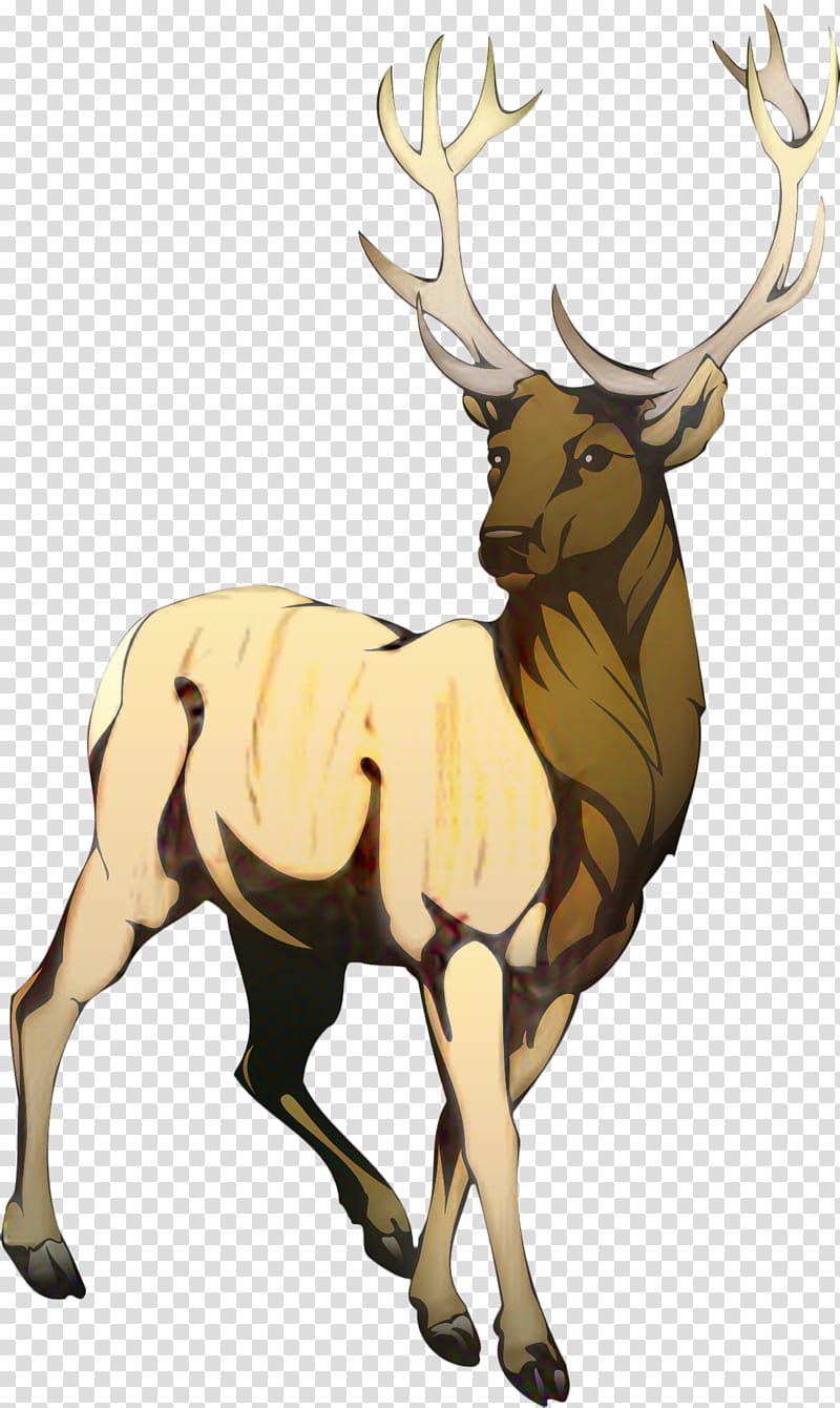 Reindeer, Elk, Antler, Animal, Wildlife, Horn, Kudu, Antelope transparent background PNG clipart