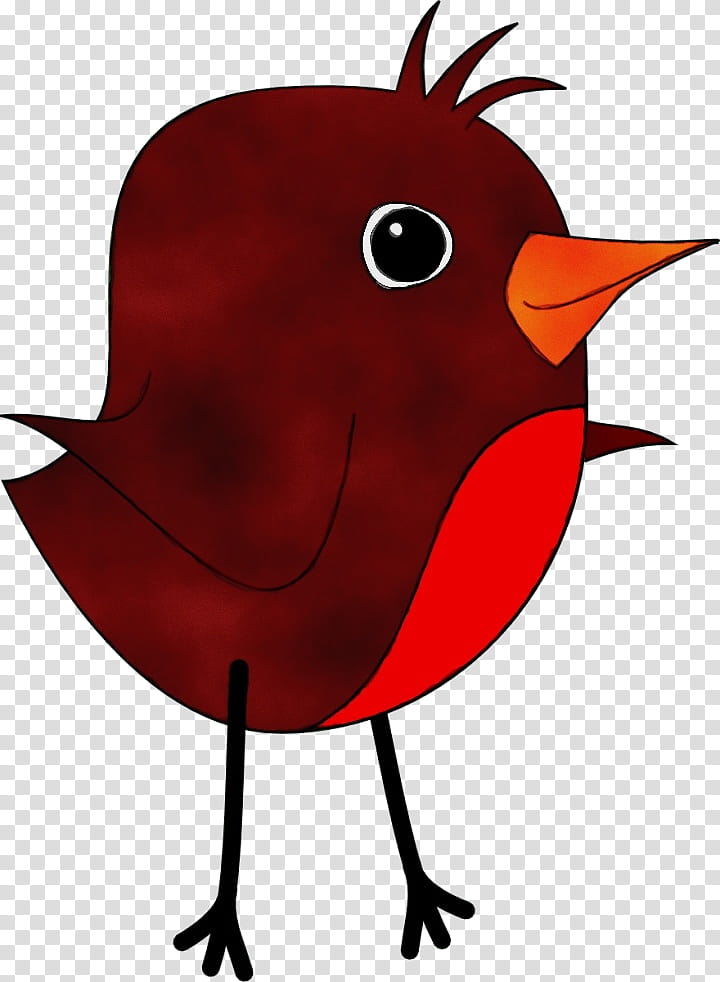 Cardinal Bird, Watercolor, Paint, Wet Ink, News, United States, Nba, Sports transparent background PNG clipart