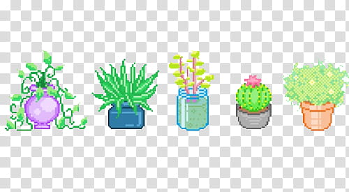 Full, five assorted potted plants illustration transparent background PNG clipart