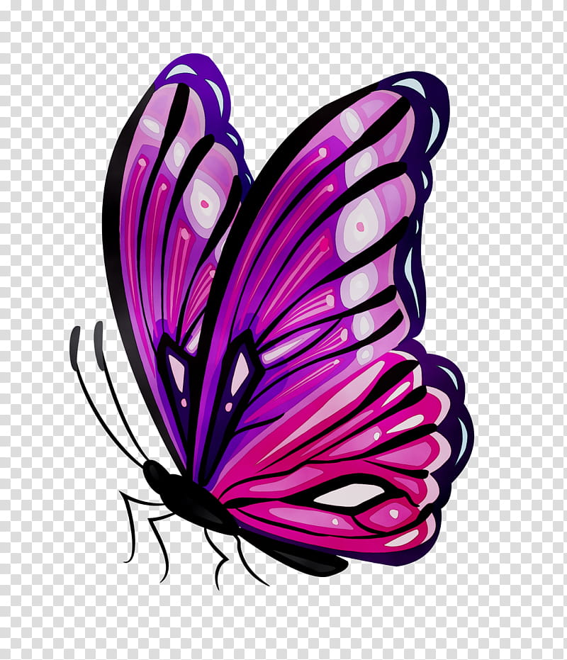 1sheet Floral  Butterfly Print Tattoo Sticker  SHEIN IN