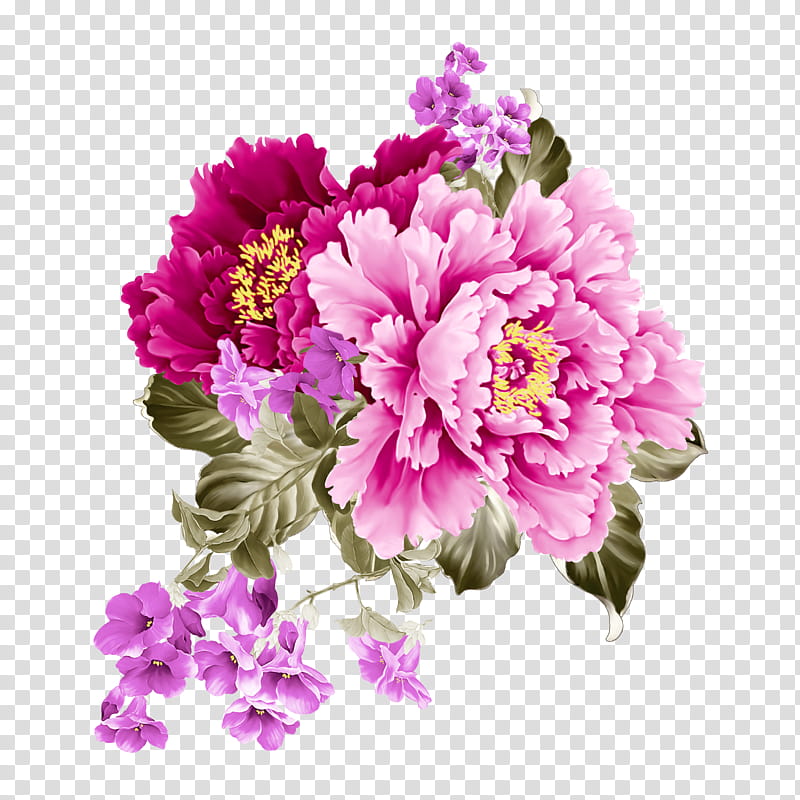 flower flowering plant plant petal pink, Cut Flowers, Common Peony, Chinese Peony, Carnation transparent background PNG clipart