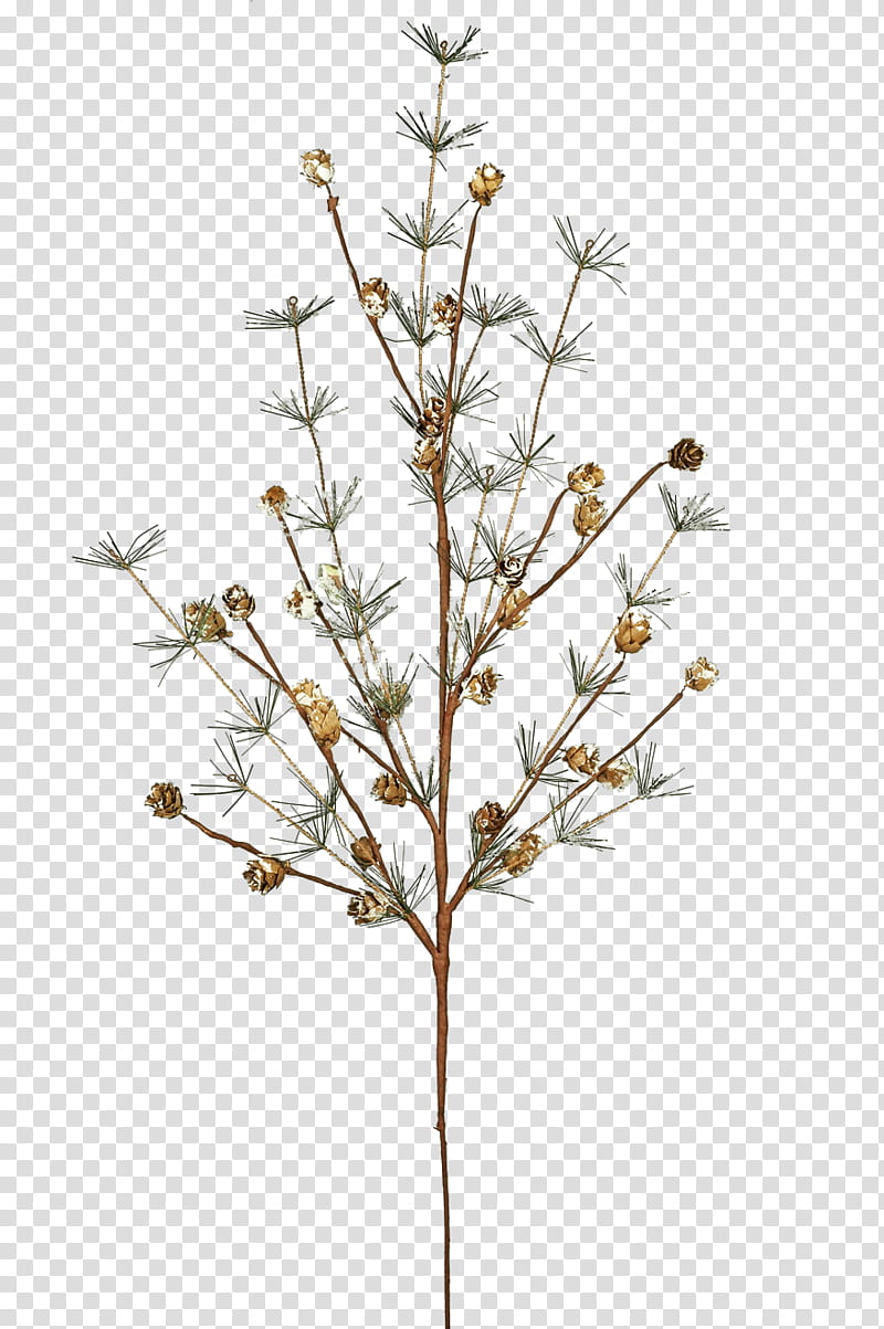 Xmas  Watchers, Christmas tree transparent background PNG clipart
