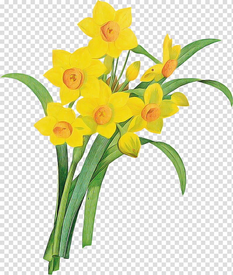 Bouquet Of Flowers Drawing, Daffodil, Cut Flowers, Plant, Narcissus, Yellow, Petal, Plant Stem transparent background PNG clipart