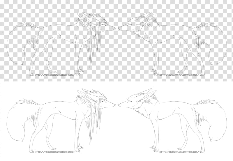 Adoptables Free Lines, two wolf sketch transparent background PNG clipart