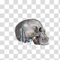 , gray skeleton skull transparent background PNG clipart