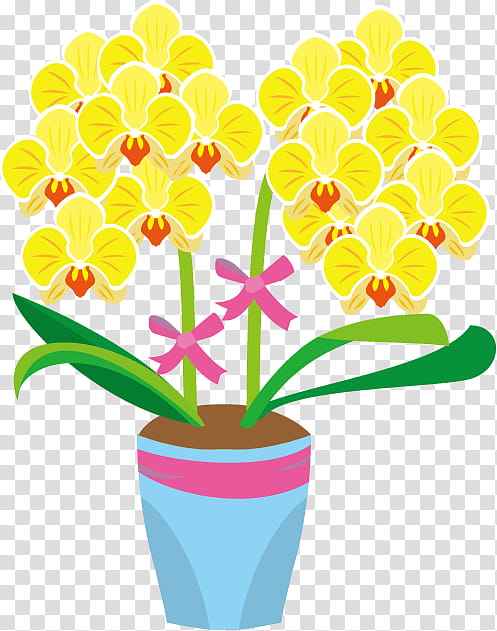 Flowers, Floral Design, Orchids, Cut Flowers, Phalaenopsis Aphrodite, Plants, Flowerpot, Petal transparent background PNG clipart