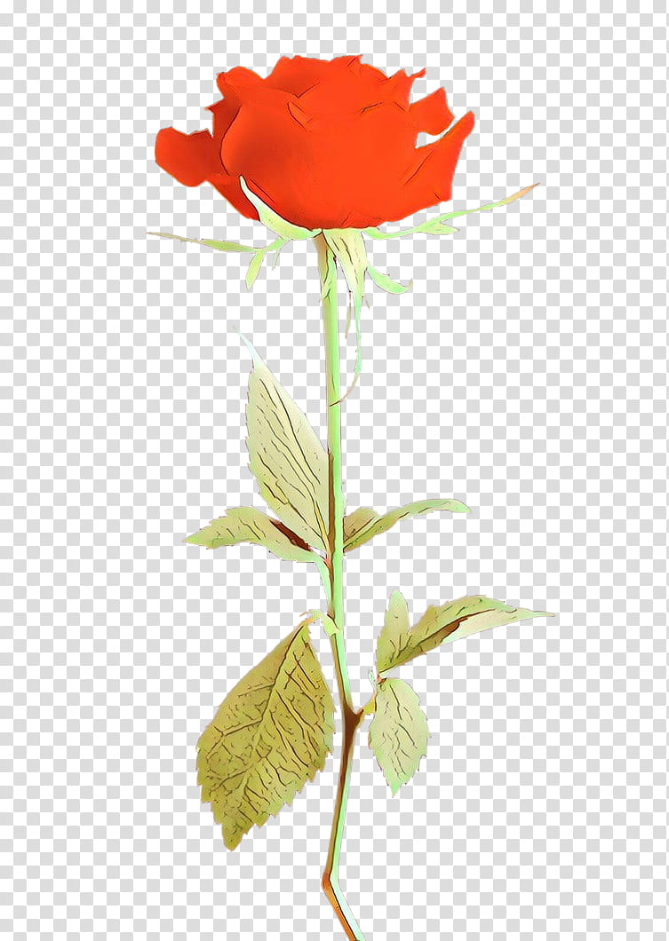 Rose, Cartoon, Flower, Plant, Red, Petal, Rose Family, Cut Flowers transparent background PNG clipart