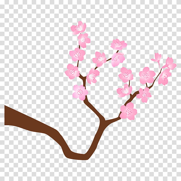 Tree Of Life, Cherry Blossom, Stau150 Minvuncnr Ad, Floral Design, Pink M, Cherries, Love, Heart transparent background PNG clipart