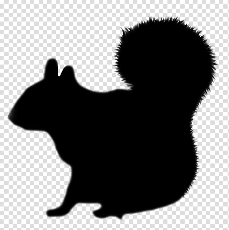 Dog And Cat, Whiskers, Rat, Squirrel, Bear, Snout, Silhouette, Black M transparent background PNG clipart