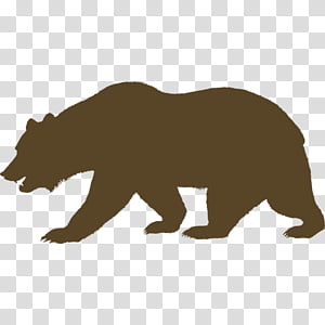 bear PNG transparent image download, size: 620x752px