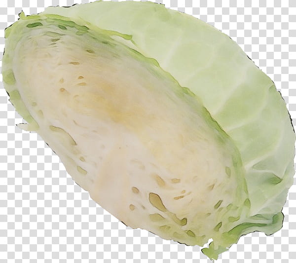 Chinese Food, Cabbage, Lettuce, Recipe, Painting, Dish Network, Wild Cabbage, Iceburg Lettuce transparent background PNG clipart