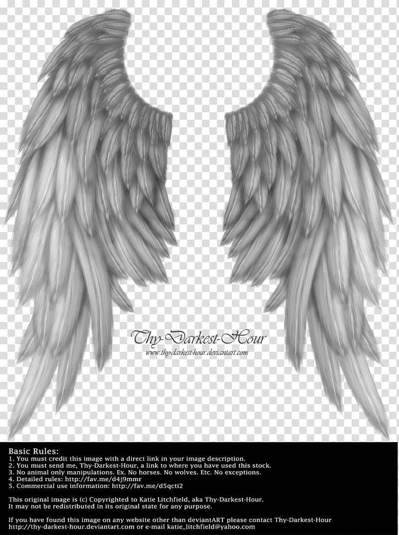 Daydream Wings Silver transparent background PNG clipart