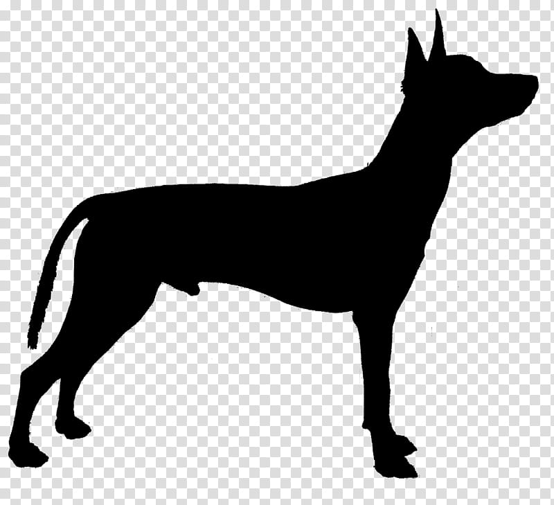 Cartoon Dog, Great Dane, Dobermann, Siberian Husky, Great Pyrenees, Pet, Pinscher, Dogo transparent background PNG clipart