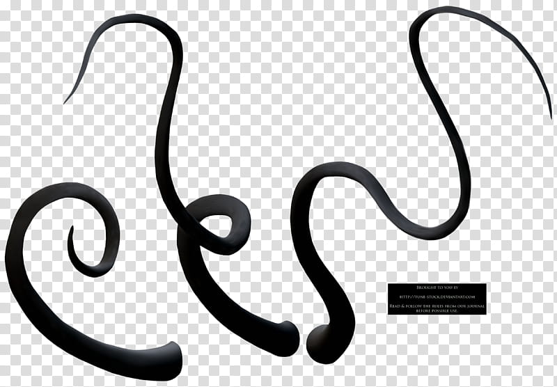 Fune Tentacle , four black lines transparent background PNG clipart