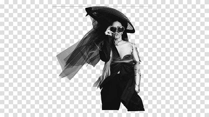 HAUS OF U LADY GAGA transparent background PNG clipart