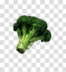 veggies, green broccoli transparent background PNG clipart