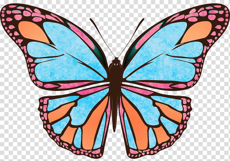Summer Lovin JanClark, blue, pink, and orange butterfly illustration transparent background PNG clipart