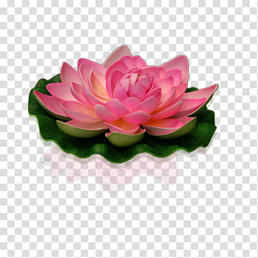 Pink Flower, Sacred Lotus, Artificial Flower, Garden Roses, Petal, Vase, Water Lilies, Color, Aquatic Plant transparent background PNG clipart