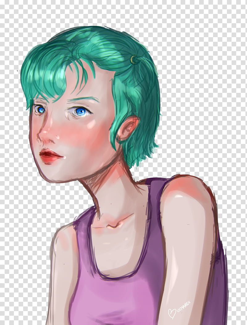 Bulma transparent background PNG clipart