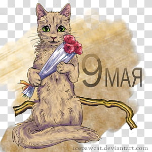 FREE  may, brown and white cat painting transparent background PNG clipart