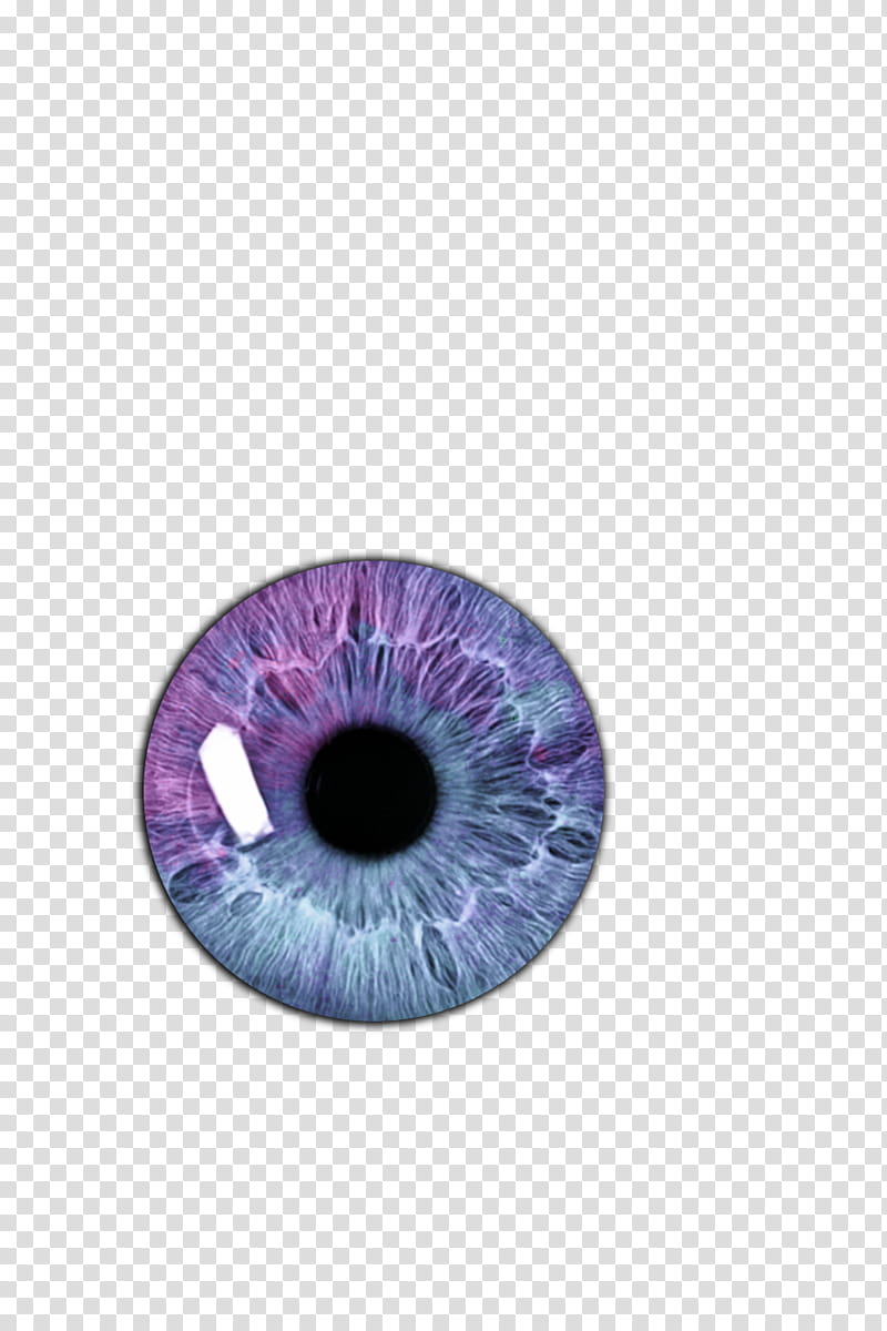 eye lens clip art