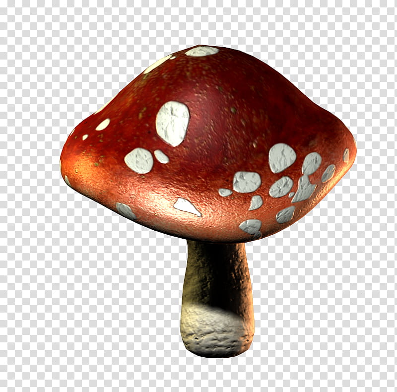 E S Mushrooms, red and white mushroom transparent background PNG clipart |  HiClipart