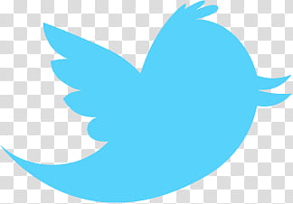Official Twitter Bird, Twitter logo transparent background PNG clipart