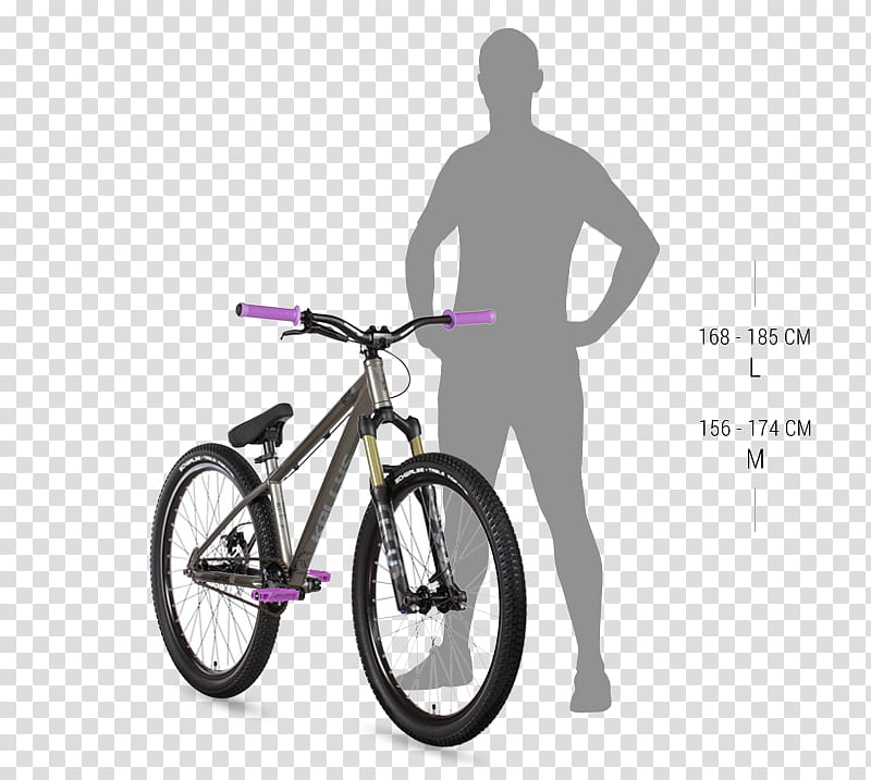 Background Poster Frame, Bicycle, Road Bicycle, Pink, Bicycle Frame, Vehicle, Sports Equipment, Bicycle Accessory transparent background PNG clipart