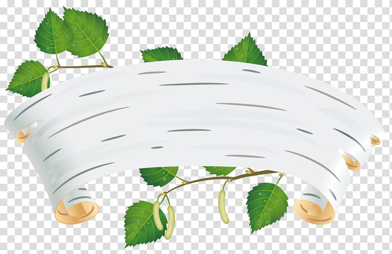 Family Tree, River Birch, Paper Birch, Silver Birch, Sweet Birch, Quercus Cerris, Betula Nana, Twig transparent background PNG clipart