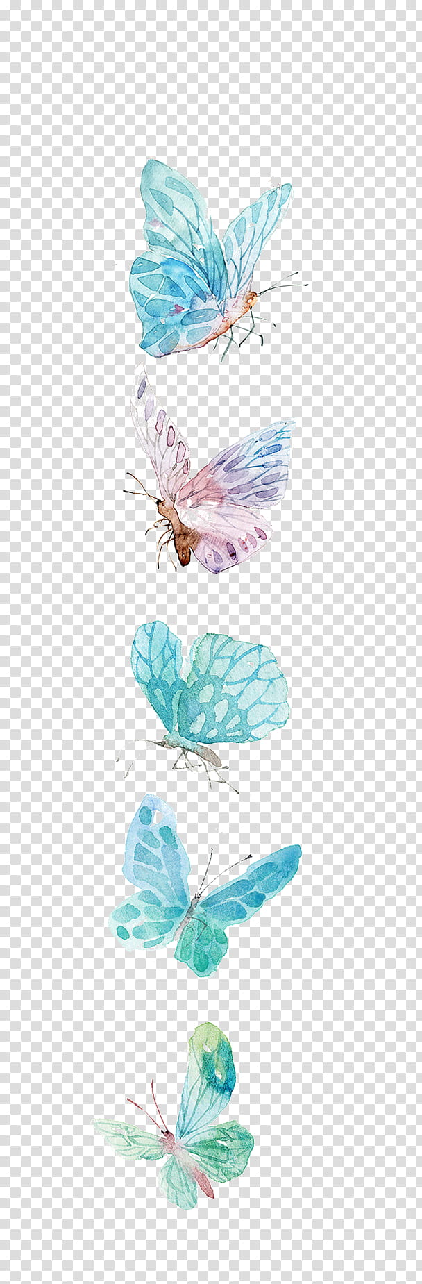 five butterflies cartoon transparent background PNG clipart