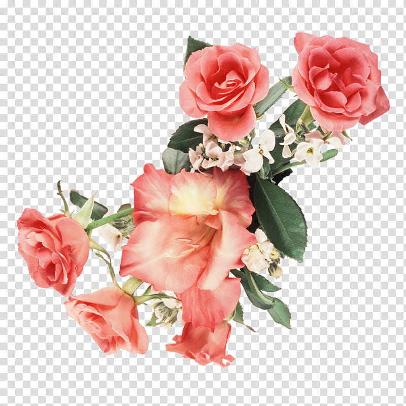 red rose flowers art transparent background PNG clipart