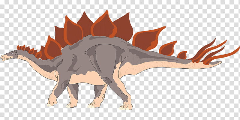 Velociraptor, Stegosaurus, Dinosaur, Apatosaurus, Tyrannosaurus, Triceratops, Gigantspinosaurus, Stegosauria transparent background PNG clipart