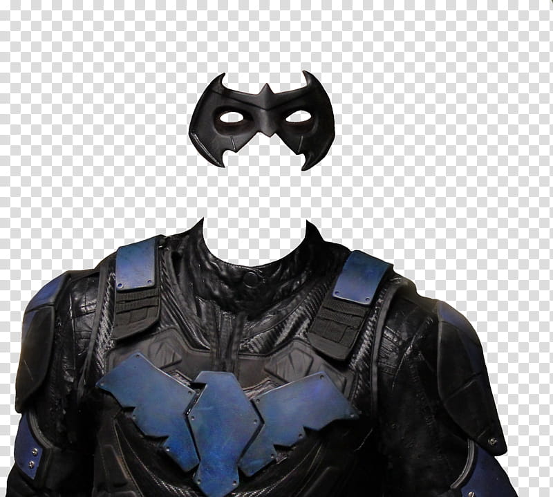 Nightwing suit  transparent background PNG clipart