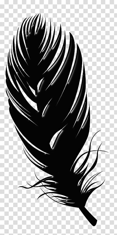 Bird Silhouette, Feather, Quill, Drawing, Blackandwhite, Black Hair transparent background PNG clipart