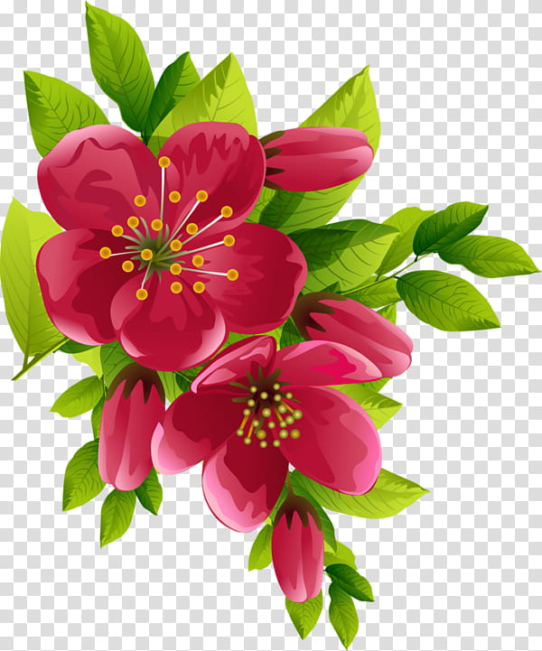 Flowers Celiuska, red petaled flowers icon transparent background PNG clipart