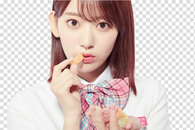 -Miyawaki Sakura transparent background PNG clipart