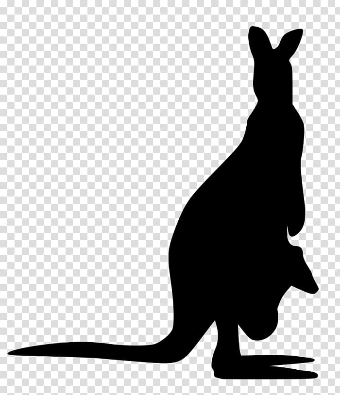 Kangaroo, Silhouette, Drawing, Animal, Macropodidae, Wallaby, White, Black transparent background PNG clipart