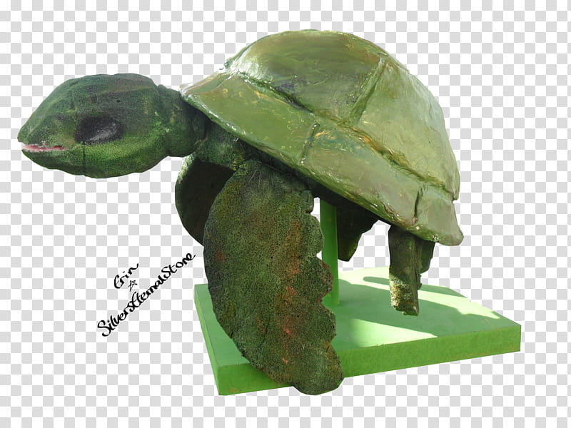 Speedy The Turtle D transparent background PNG clipart