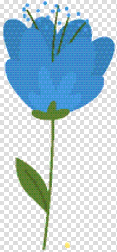 Tulip Flower, Flowering Plant, Plant Stem, Leaf, Petal, Plants, Blue Rose, Bellflower transparent background PNG clipart