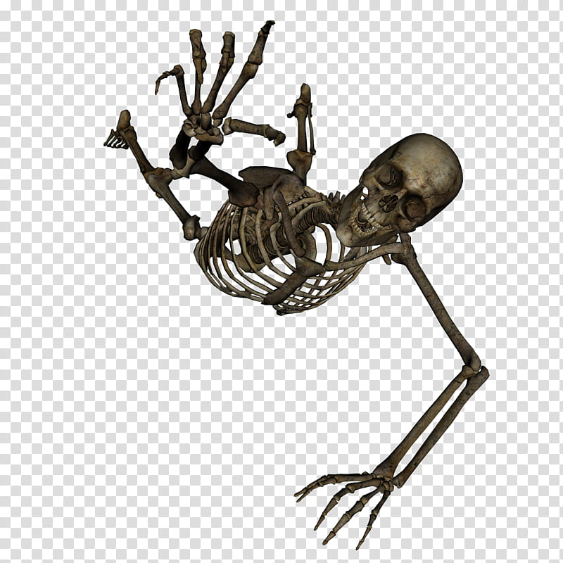 Skeleton Ground, black skeleton raising right hand illustration transparent background PNG clipart