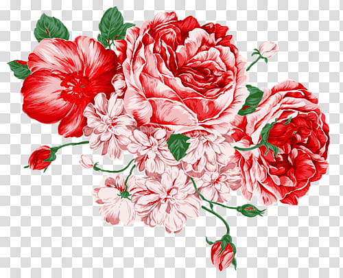 Red objects  , pink and red peonies flower water color boarder transparent background PNG clipart
