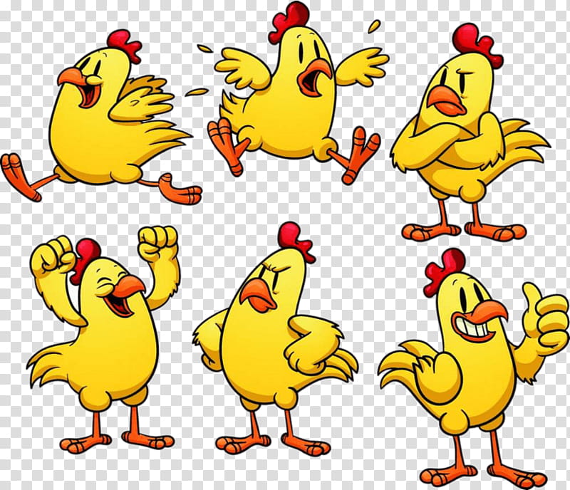 Bird Line Drawing, Chicken, Cartoon, Rooster, Chicken Run, Beak, Yellow, Ducks Geese And Swans transparent background PNG clipart