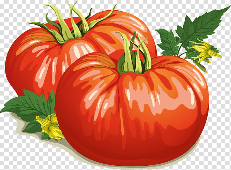 Tomato, Tomato Soup, Vegetable, Food, Cherry Tomato, Vegetable Soup, Fruit, Natural Foods transparent background PNG clipart