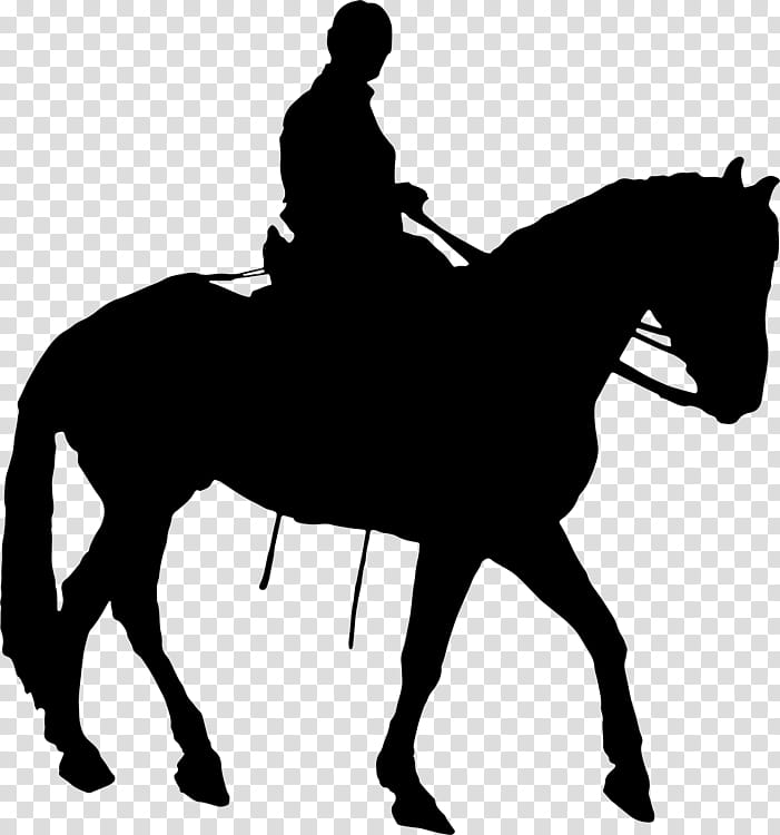 Man, Horse, Silhouette, Riding Horse, Equestrian, Jumping, Collection, Horserider transparent background PNG clipart