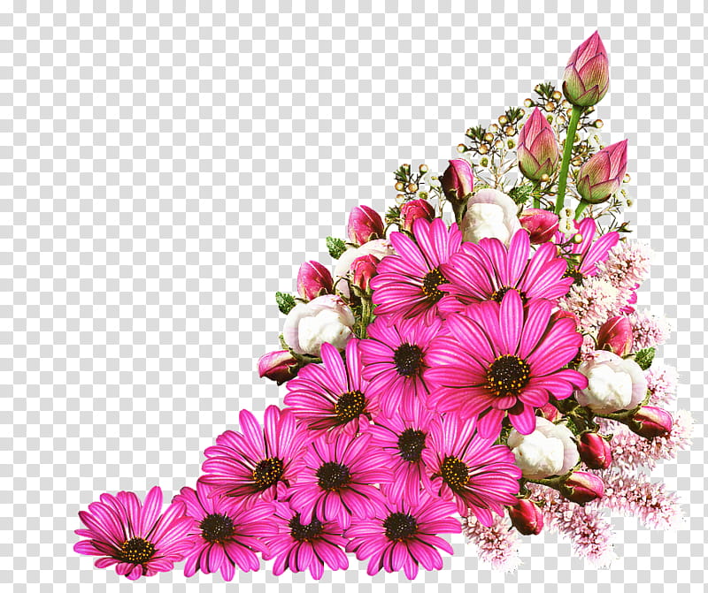 Pink Flowers, Tshirt, Floral Design, Birthday
, Spreadshirt, Cut Flowers, Flower Bouquet, Transvaal Daisy transparent background PNG clipart