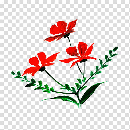 flower flowering plant red plant petal, Pedicel, Coquelicot transparent background PNG clipart