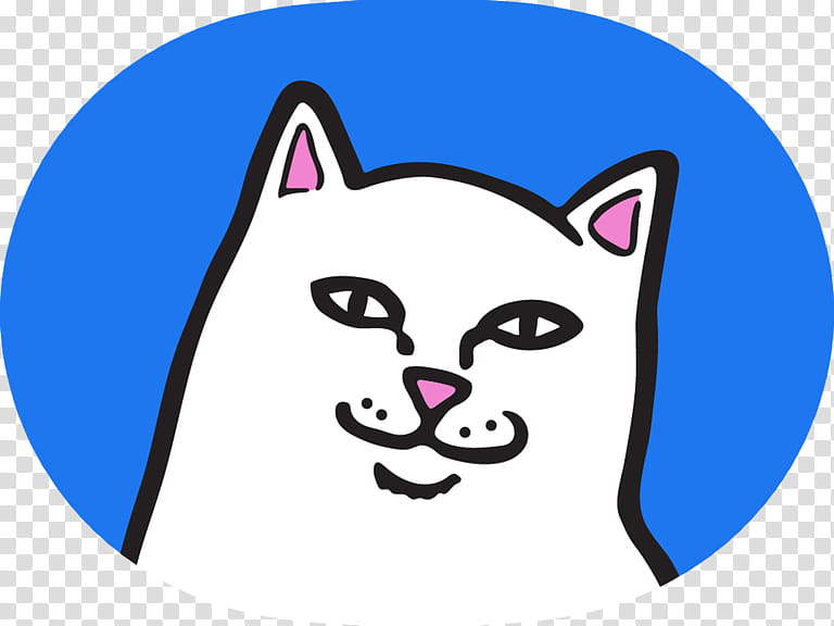 Cat, Ripndip, Drawing, Sticker, Cartoon, Nose, Head, Whiskers transparent background PNG clipart