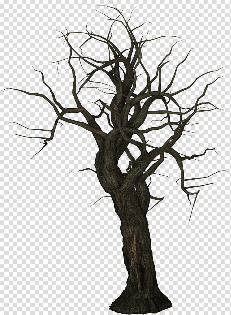 Treez, brown bare tree illustration transparent background PNG clipart