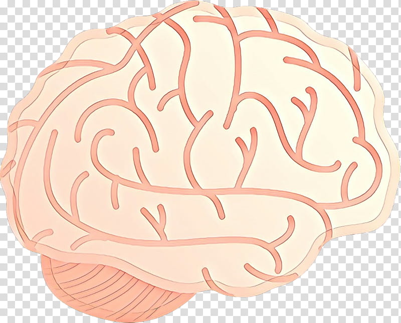 Brain, Cartoon, Pink M, Jaw, Food, Dish transparent background PNG clipart